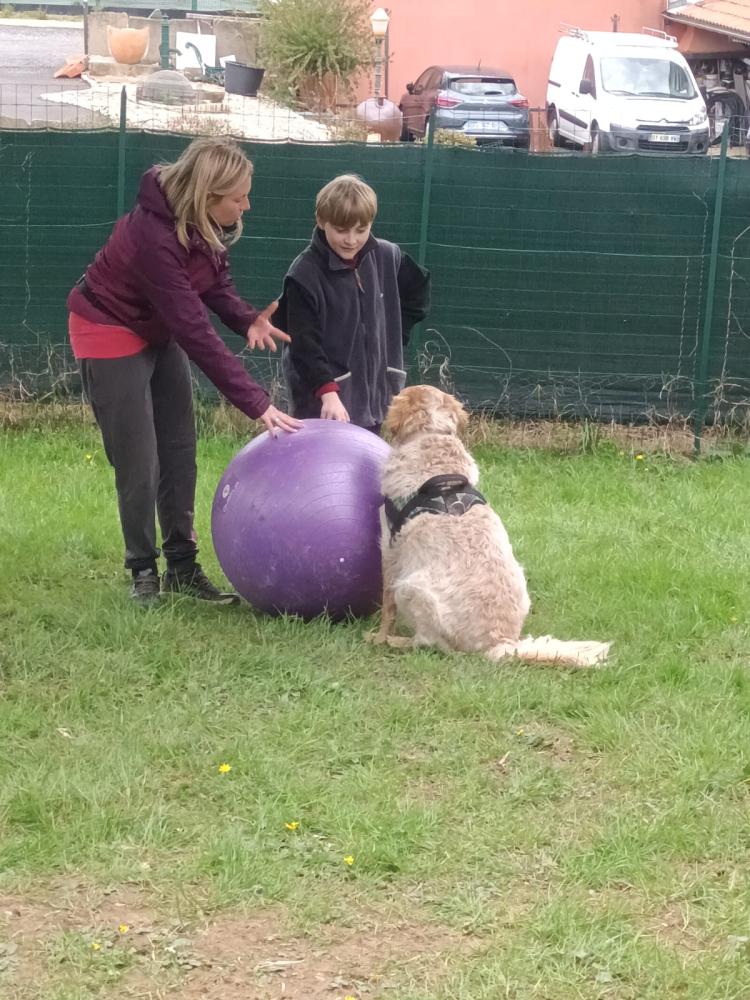 treibball (1)