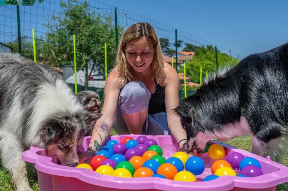 educateur-chien-pays-basque