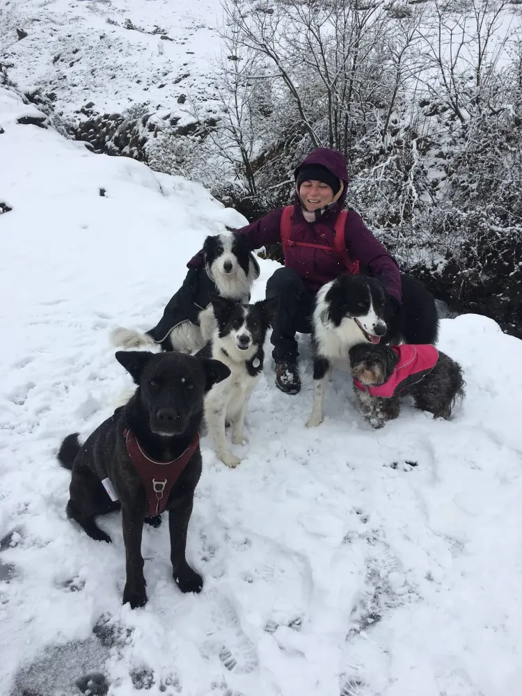 chalet-canin-bidart